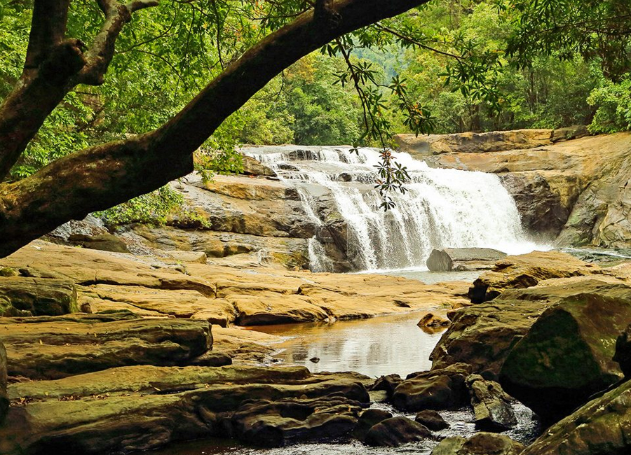 Eravikulam National Park