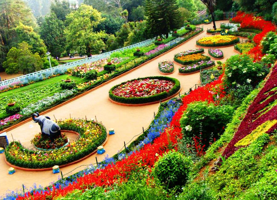 Ooty Hills